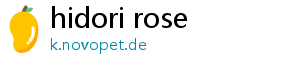 hidori rose